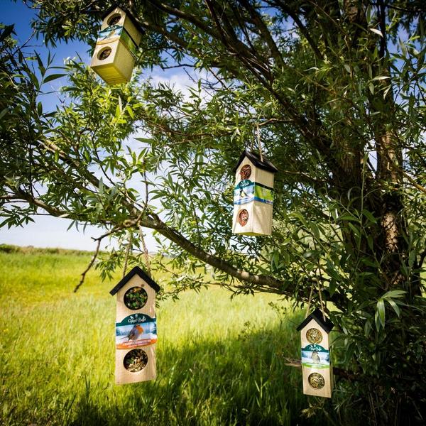Bird Buffet | Vogelvoer Bird Chalet Mix Set van 4 | 4x 200gr - Bloomado