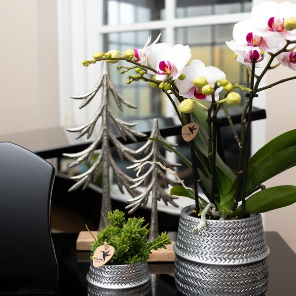 Groove bloempot gouden keramieken sierpot 12 cm