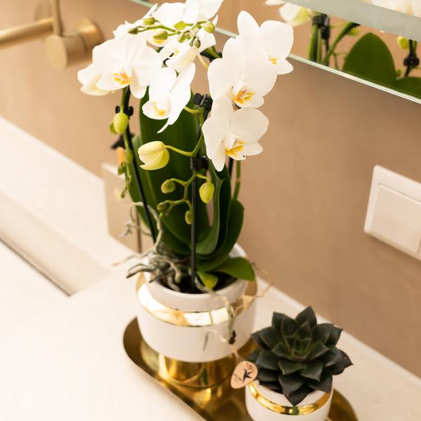 Le chic bloempot witte keramieken sierpot met gouden details 6 cm
