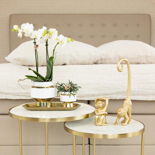 Le chic bloempot witte keramieken sierpot met gouden details 6 cm