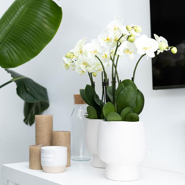 Scandic white keramieken sierpot 9 cm