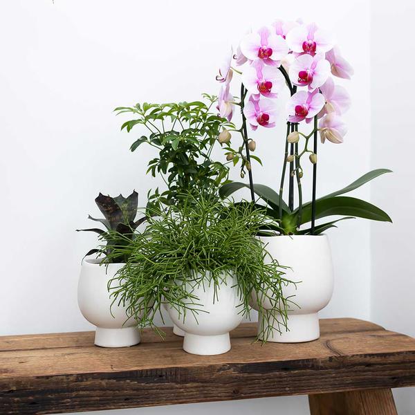 Scandic white keramieken sierpot 9 cm