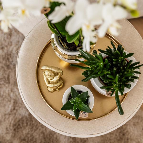 Le chic bloempot witte keramieken sierpot met gouden details 6 cm
