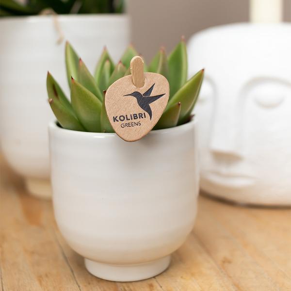 Glazed bloempot witte keramieken sierpot met glans 6 cm