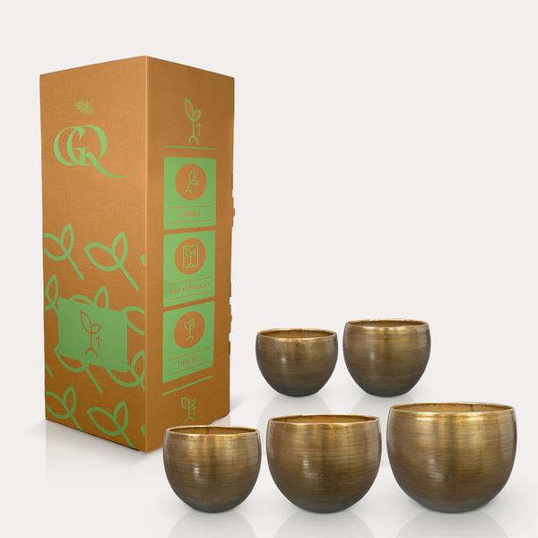 Set 5 rowen aluminium goudkleurig gold