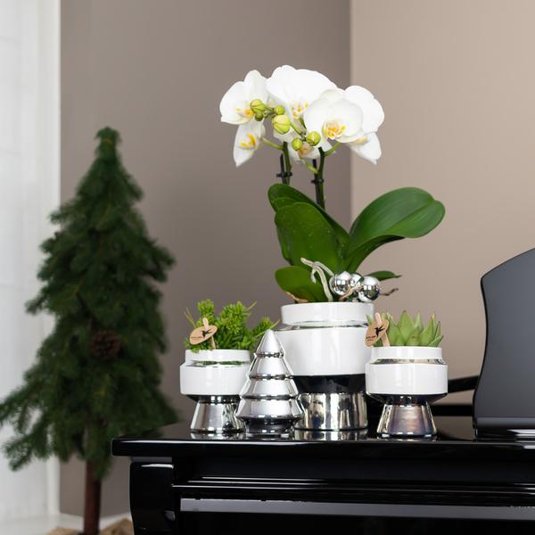 Le chic bloempot witte keramieken sierpot met zilveren details 9 cm
