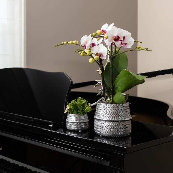 Groove bloempot gouden keramieken sierpot 12 cm