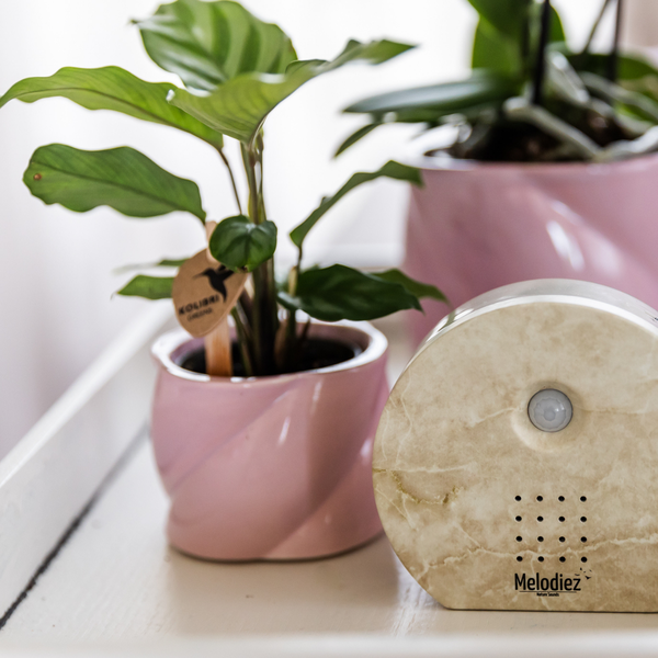 Melodiez music box - Natuursteen