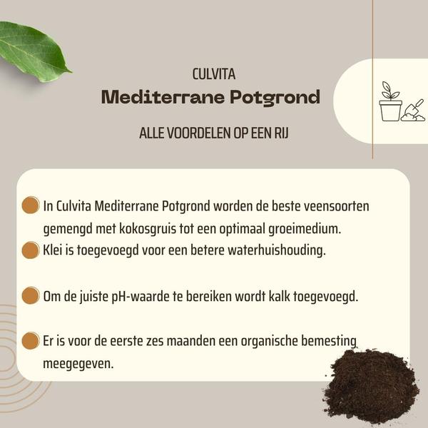 Mediterrane Potgrond 40 Liter inclusief wortelverbeteraar voor olijfbomen, citrus en palmen