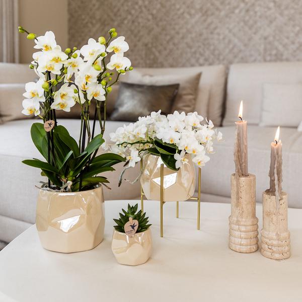 Combi deal pearl travertine potten