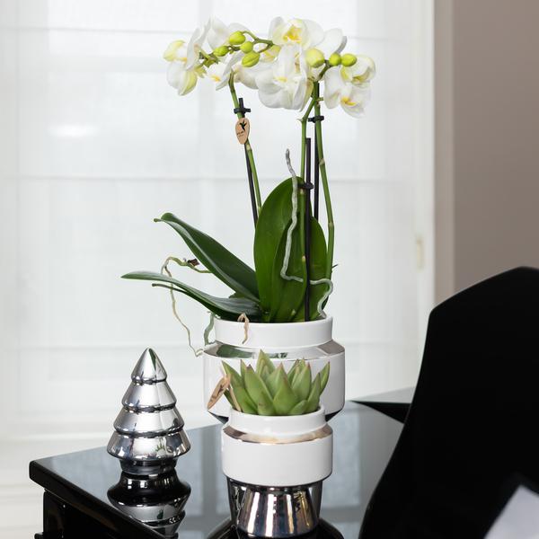 Kolibri Home | Ornament - Decoratie beeld Kerstboom - 12cm hoog - Silver