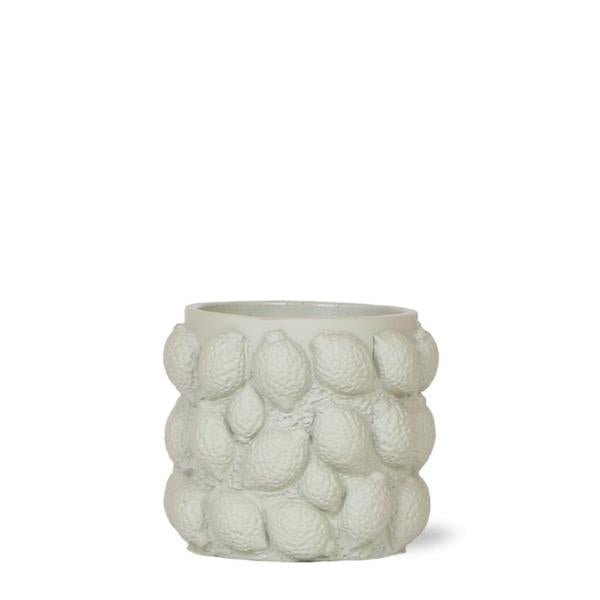 Citrus pot groen 9 cm