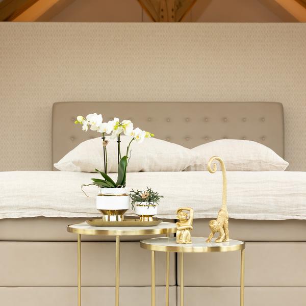 Le chic bloempot witte keramieken sierpot met gouden details 6 cm