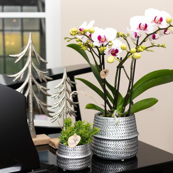 Groove bloempot gouden keramieken sierpot 12 cm
