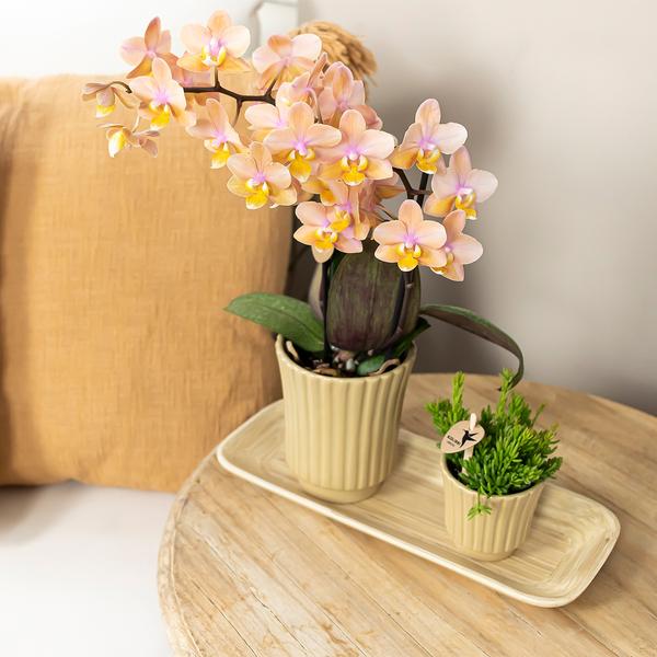 Retro khaki bloempot khaki kleurige keramieken sierpot 6 cm