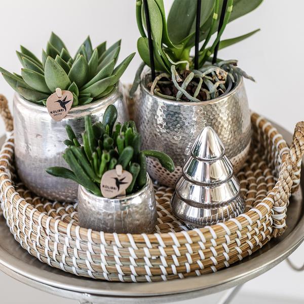 Elite silver pot 9 cm
