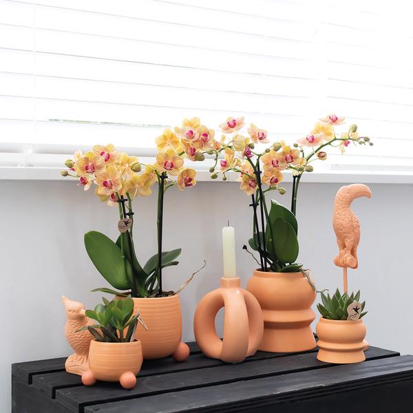 Rolling peach keramieken sierpot 9 cm