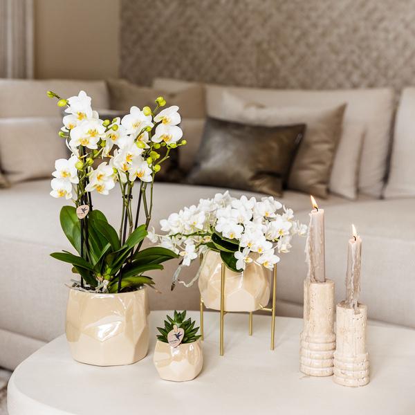 Combi deal pearl travertine potten