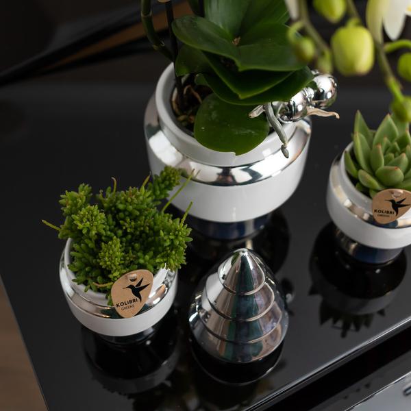 Le chic bloempot witte keramieken sierpot met zilveren details 9 cm