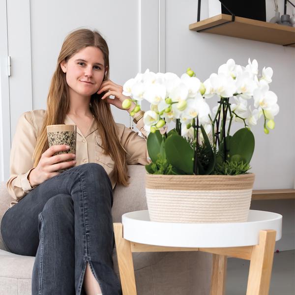 Complete Mono Bouquet wit Orchideeënset in Cotton Basket inclusief Waterreservoir