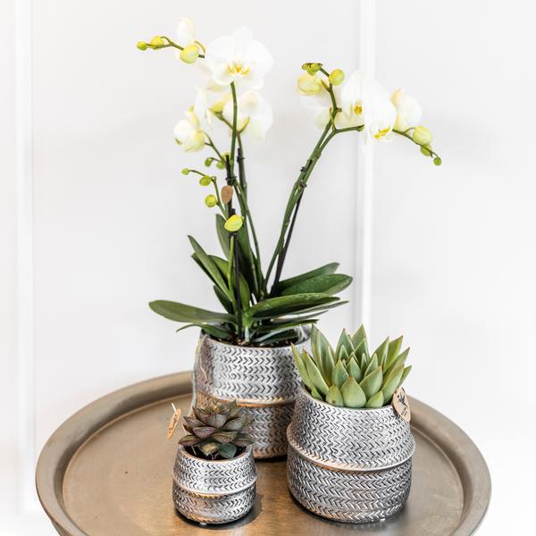 Groove bloempot gouden keramieken sierpot 9 cm