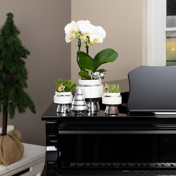 Le chic bloempot witte keramieken sierpot met zilveren details 9 cm