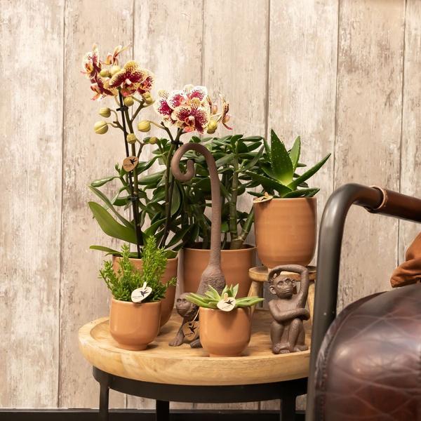 Glazed bloempot cognac keramieken sierpot met glans 12 cm