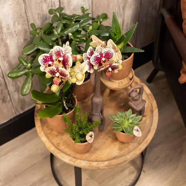 Glazed bloempot cognac keramieken sierpot met glans 12 cm