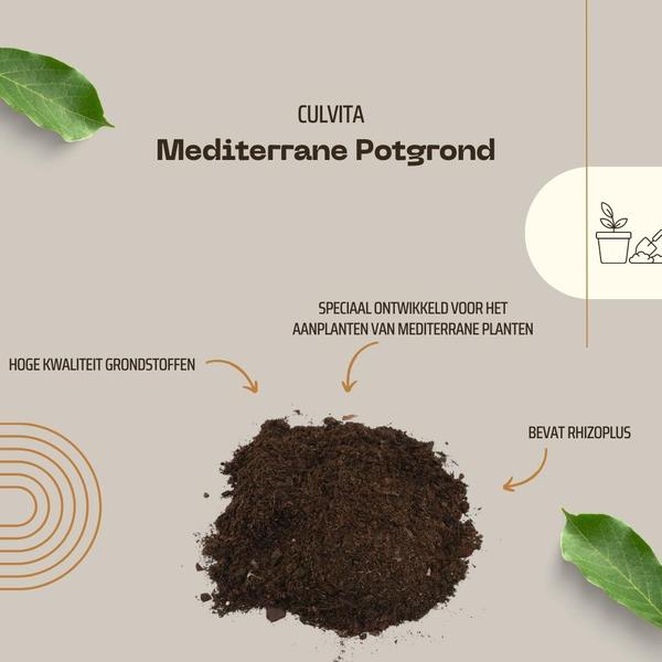 Mediterrane Potgrond 40 Liter inclusief wortelverbeteraar voor olijfbomen, citrus en palmen