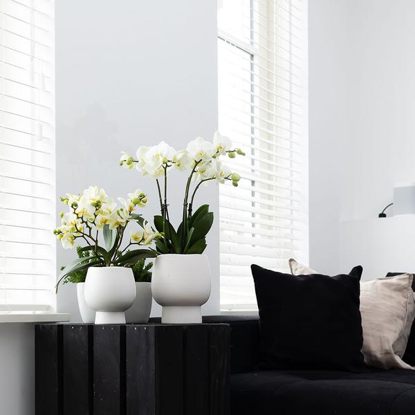 Scandic white keramieken sierpot 9 cm