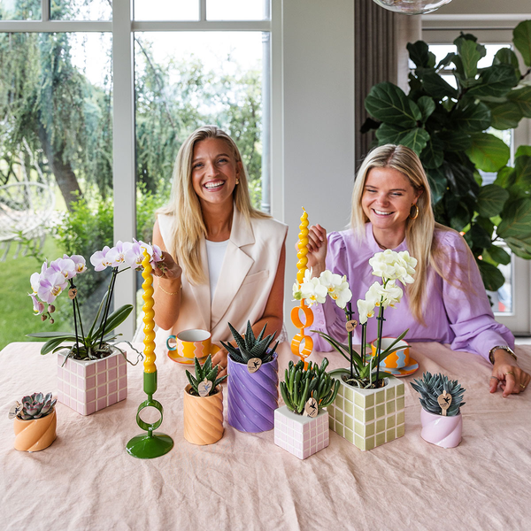 Gele phalaenopsis orchidee Mexico met sierpot