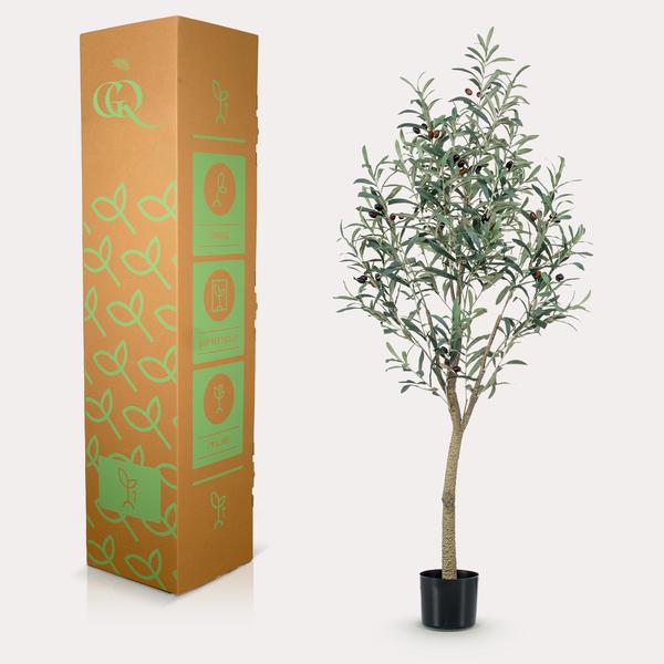 Olea europaea - Olijfboom - 140 cm