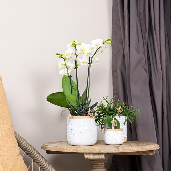 Vintage bloempot witte keramieken sierpot 9 cm