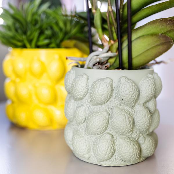 Citrus pot groen 9 cm