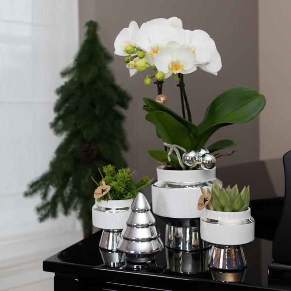 Kolibri Home | Ornament - Decoratie beeld Kerstboom - 12cm hoog - Silver
