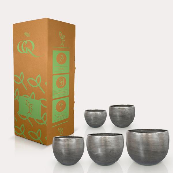 Set 5 rowen aluminium zilverkleurig silver