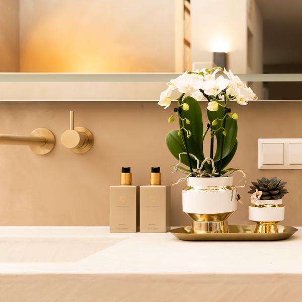 Le chic bloempot witte keramieken sierpot met gouden details 6 cm