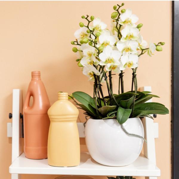 Bowl bloempot witte keramieken sierpot potmaat