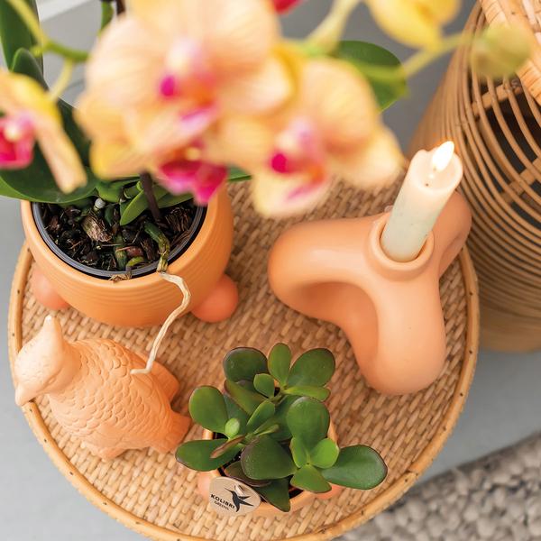 Rolling peach keramieken sierpot 9 cm