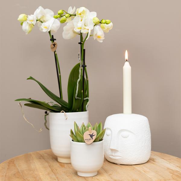 Glazed bloempot witte keramieken sierpot met glans 6 cm