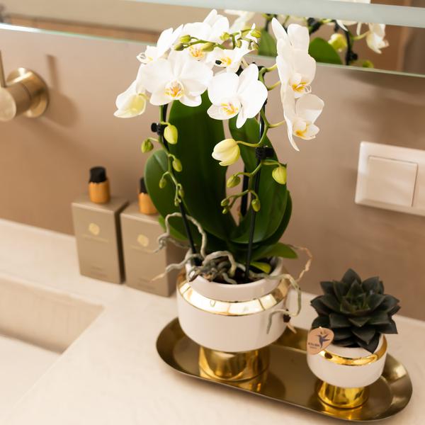 Le chic bloempot witte keramieken sierpot met gouden details 6 cm