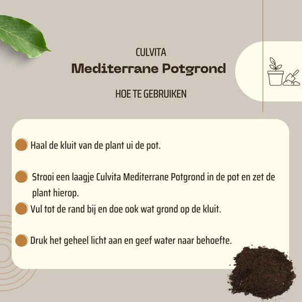 Mediterrane Potgrond 40 Liter inclusief wortelverbeteraar voor olijfbomen, citrus en palmen