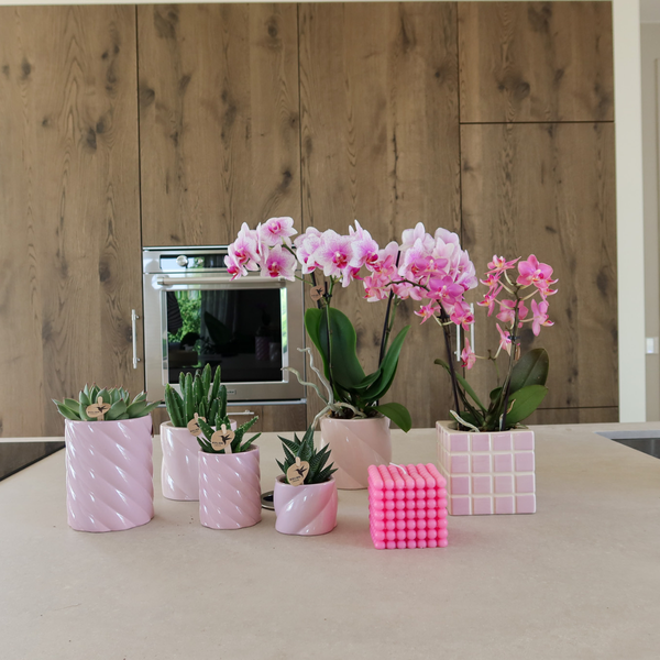 Mosa sierpot pink 9 cm