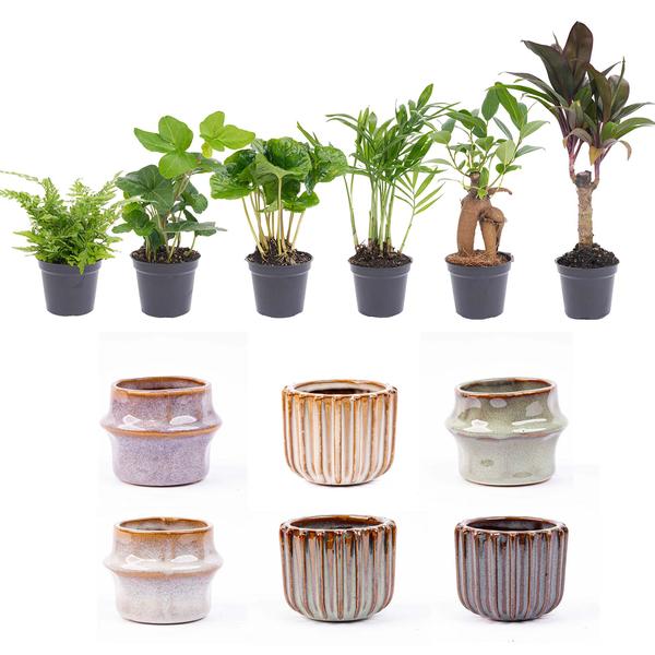 Barcelona set van 6 keramische potten met mini-planten