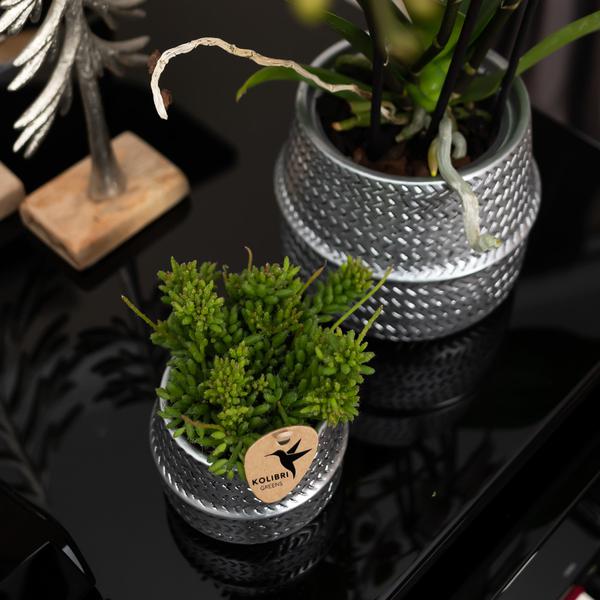 Groove bloempot gouden keramieken sierpot 6 cm