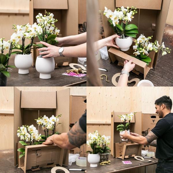 Owl bloempot witte keramieken sierpot