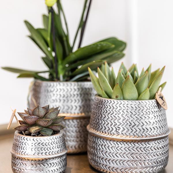 Groove bloempot gouden keramieken sierpot 12 cm
