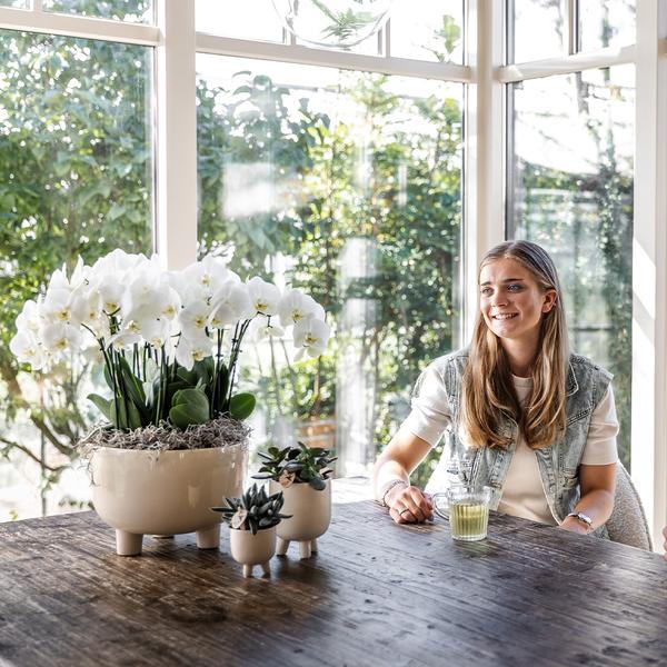 Drie Witte Plantenset in Gummy dish inclusief Waterreservoir