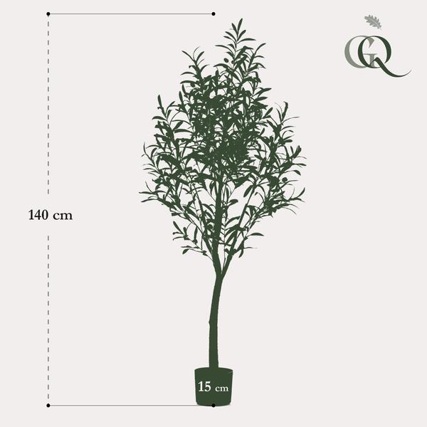 Olea europaea - Olijfboom - 140 cm