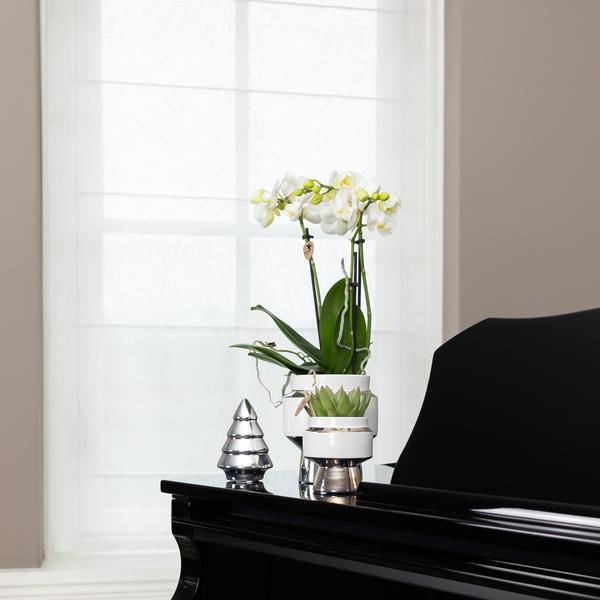 Le chic bloempot witte keramieken sierpot met zilveren details 6 cm